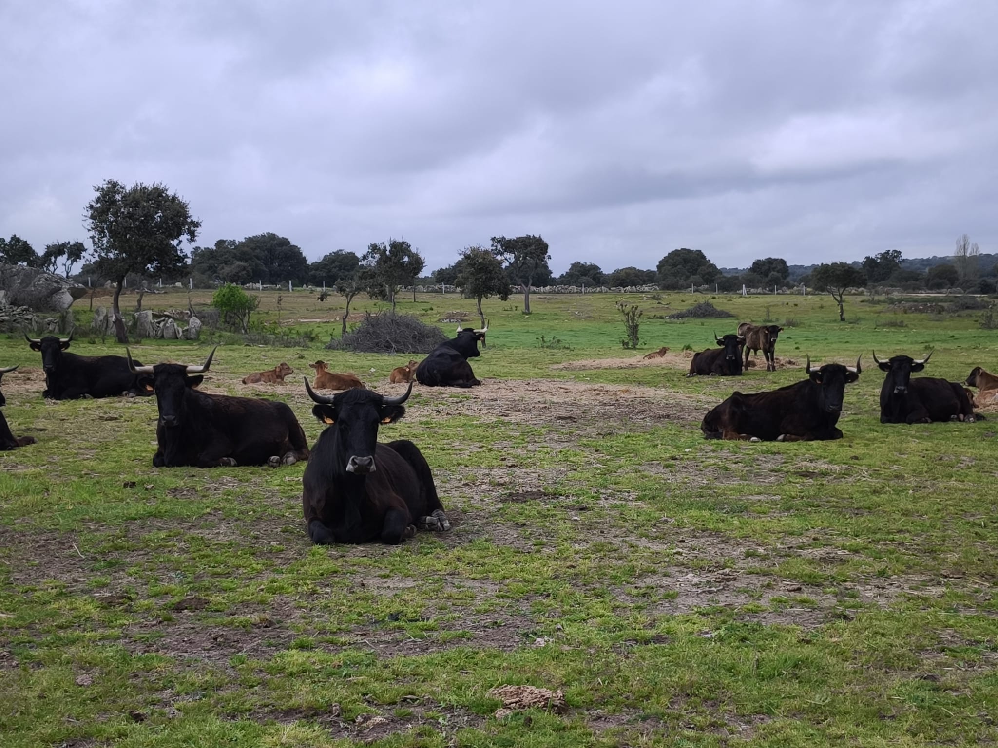 WhatsApp Image 2026-03-04 at 17.22.39 (1)