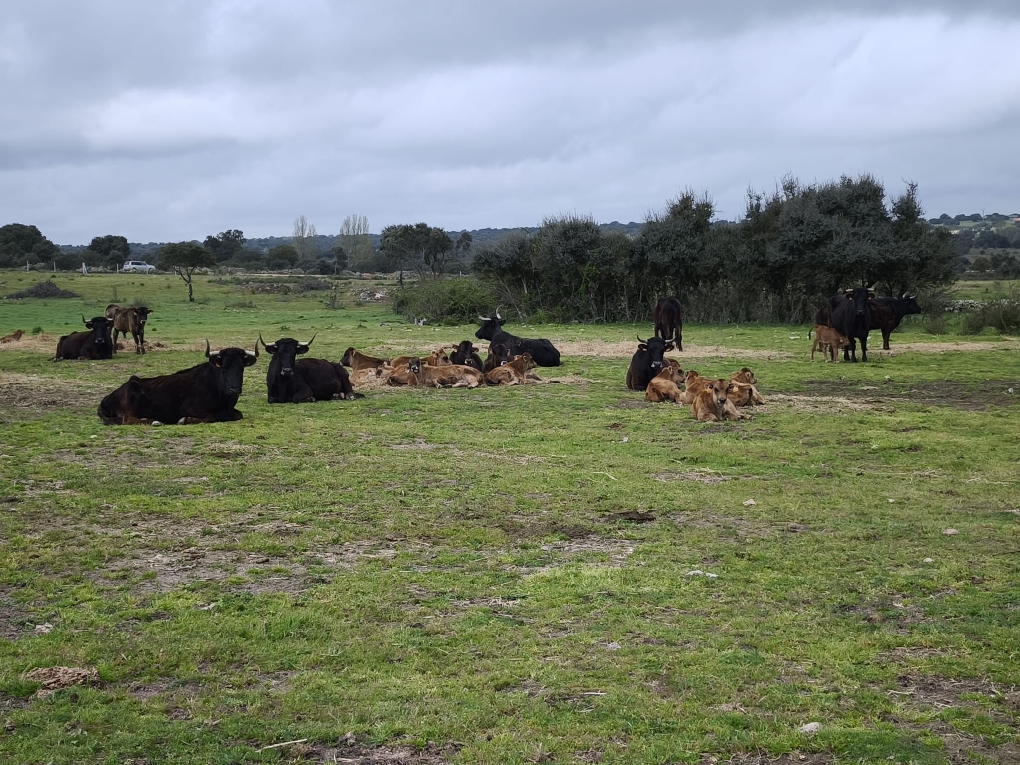 WhatsApp Image 2026-03-04 at 17.22.39 (2)