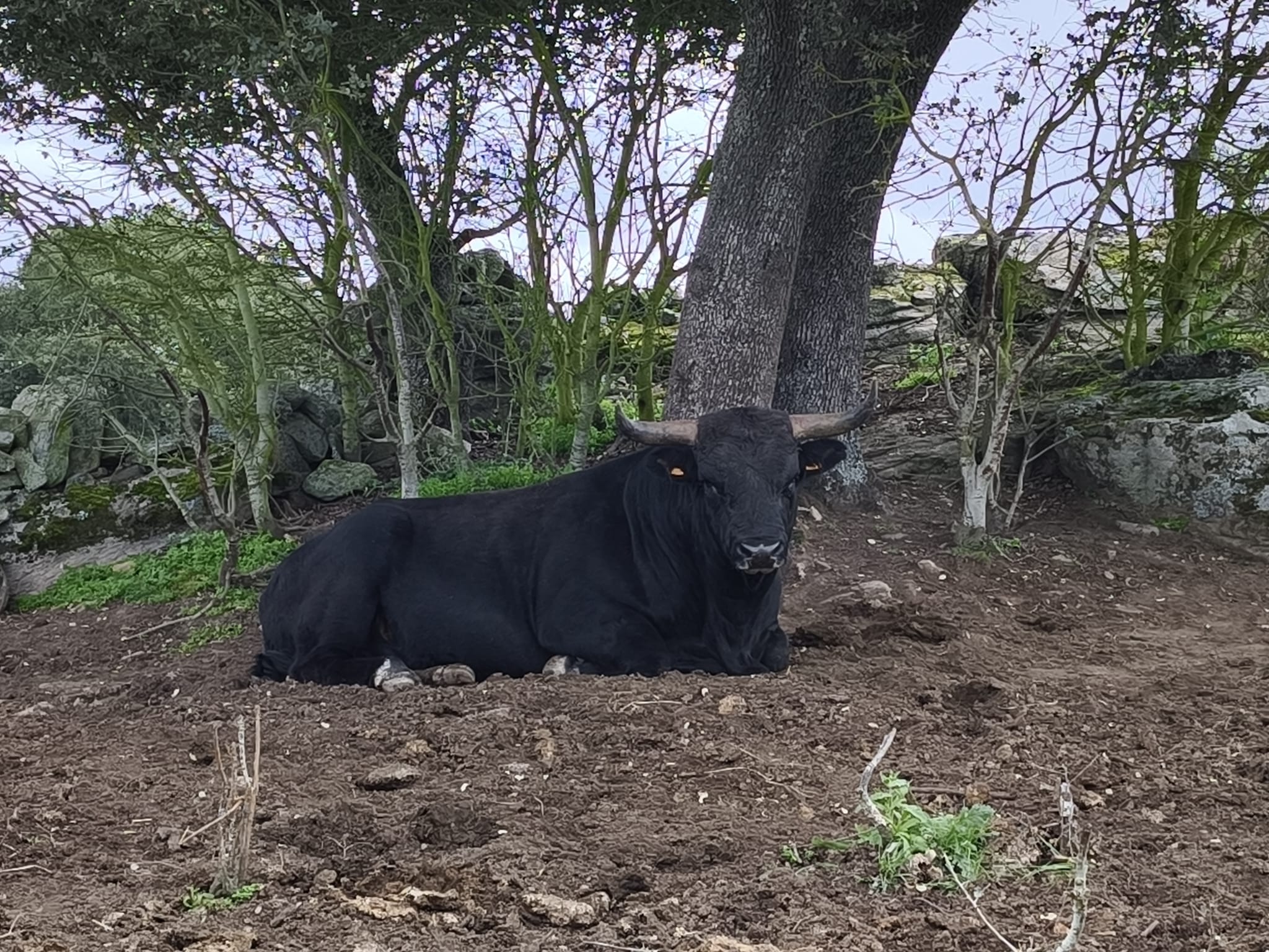 WhatsApp Image 2026-03-04 at 17.22.39