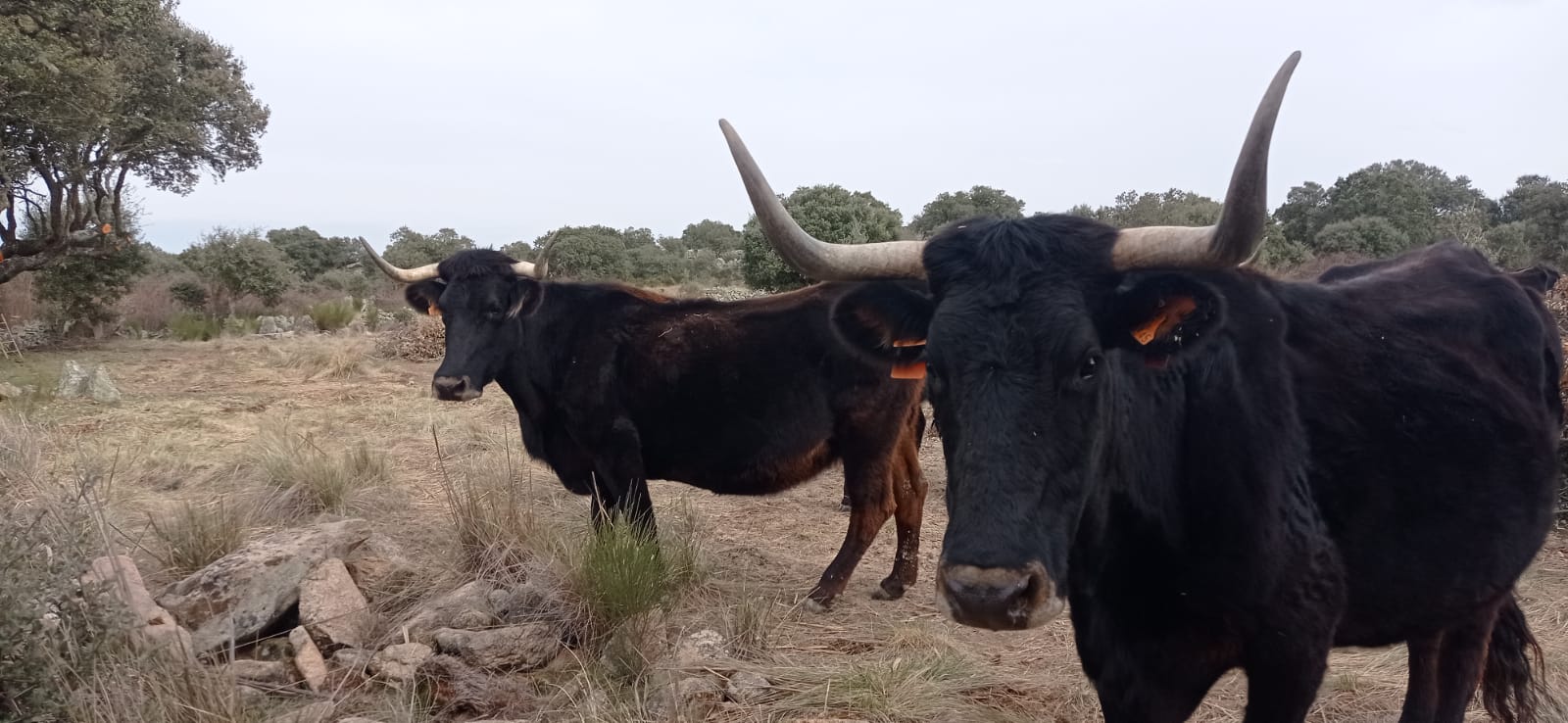 WhatsApp Image 2026-03-04 at 17.22.40 (4)